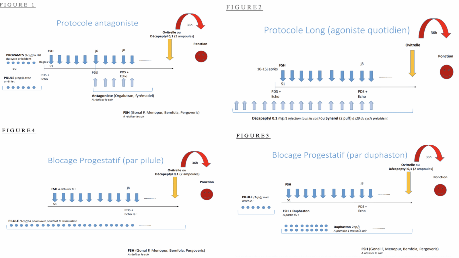 image article alix-1