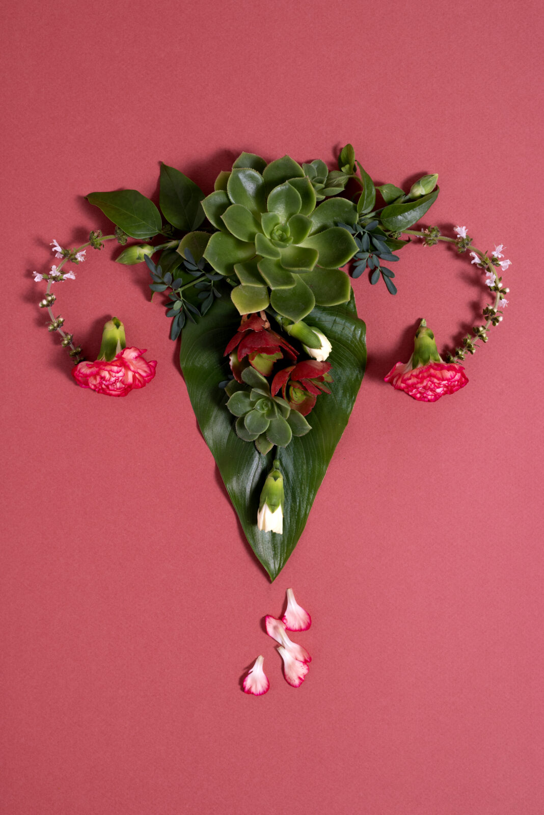 systeme-reproducteur-vue-de-dessus-avec-des-fleurs